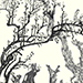 Chikuto Nakabayashi Gallery